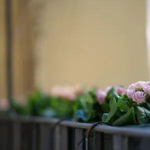 Pgrhome Croce Rome