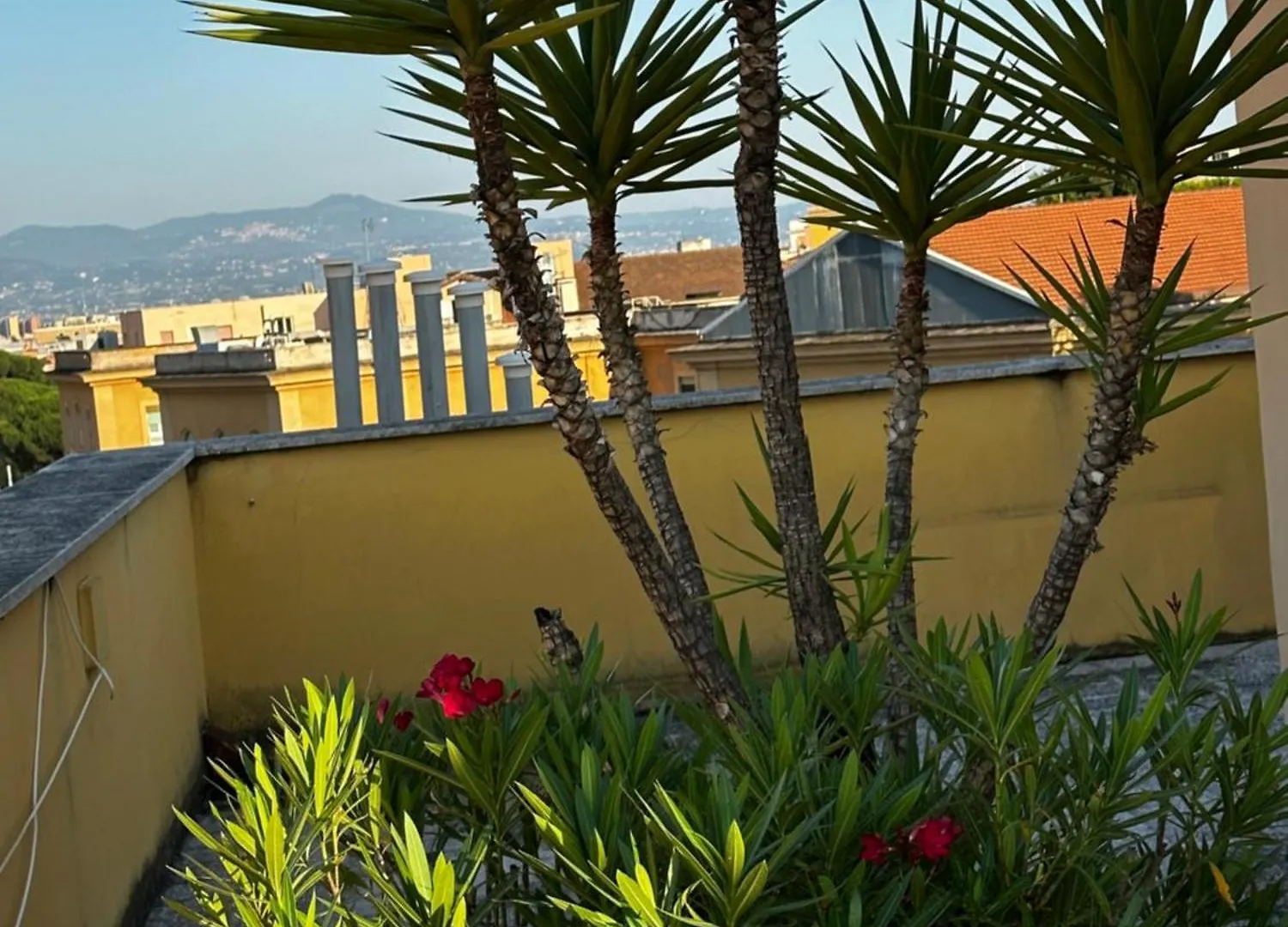 Bed & Breakfast All Comfort Astoria Palace Rome